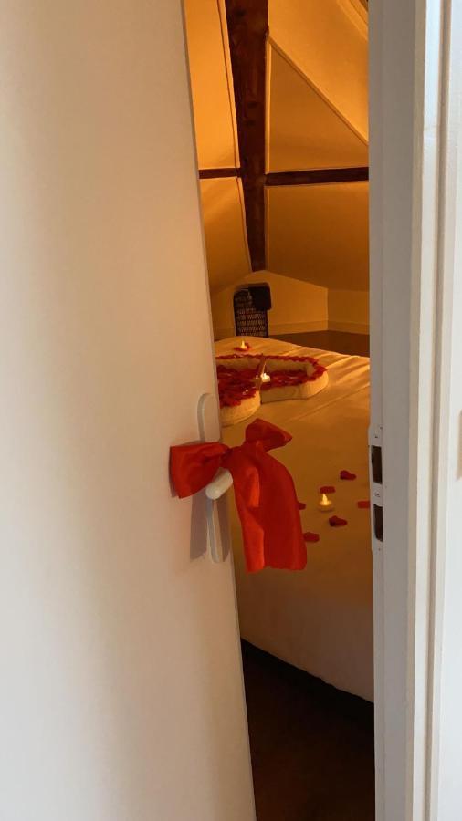 Couttet Champion Romantique Proche Gare Annecy Exterior photo